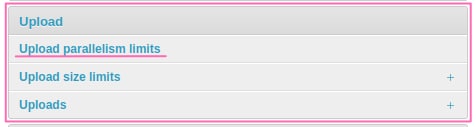 ../../_images/admin_panel_upload_parallelism_limit.png